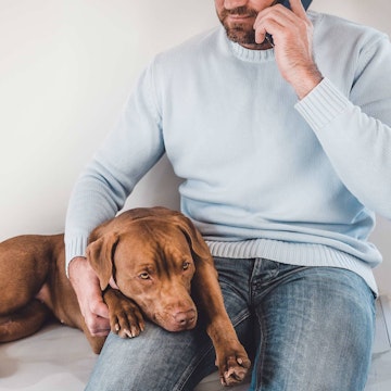 Phone Triage Owner and dog