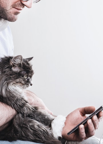 Emergency vet peforming phone triaging with a cat