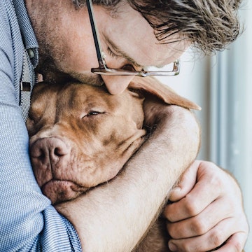 Owner cuddling his dog while he is receiving a sedative injection