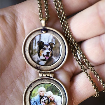 Lovely medaillons containing images of the family dead dogs